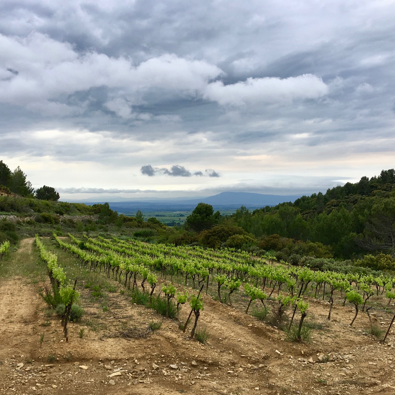 The Domaine Les Combes Cachées is extending