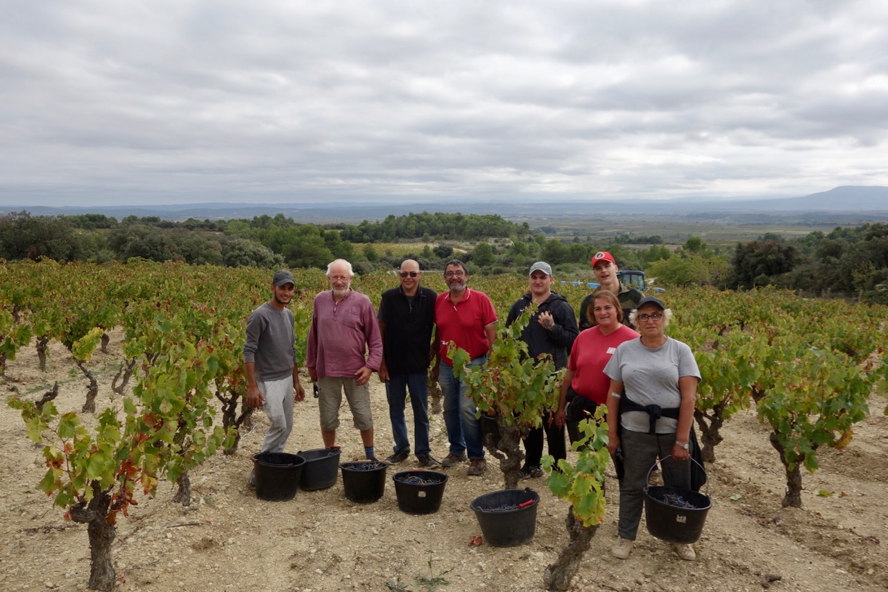 End of 2019 harvest: so much grenache!