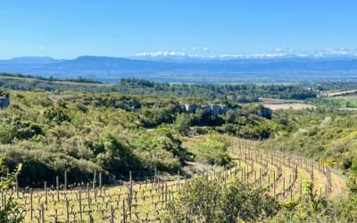 Hiver pluvieux : de belles sorties